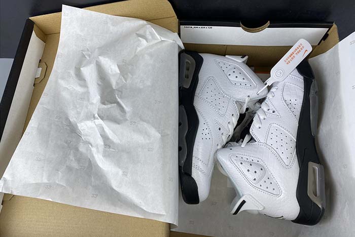 Air Jordan 6 GS “Alligator” 384665-110