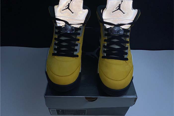 Air Jordan Tokyo 454783-701