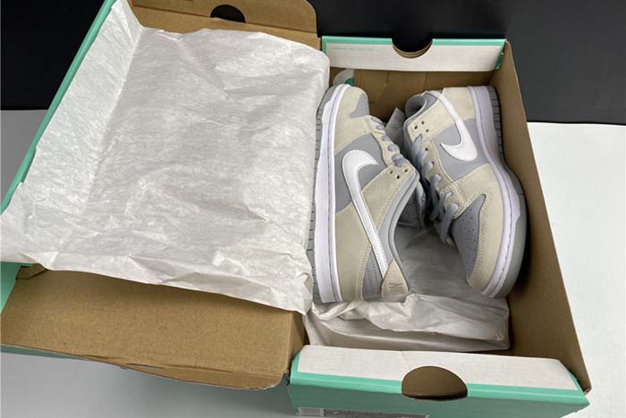 【TOM】Nike Dunk SB L TRD  AR0778-110