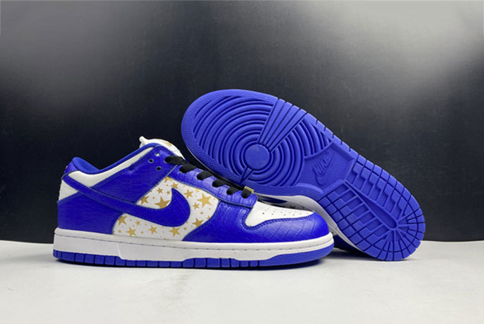 Nike SB Dunk Low DH3228-100