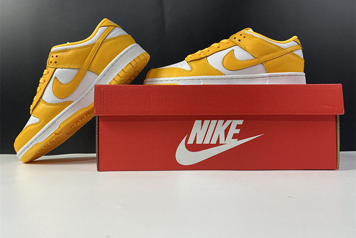 NIKE DUNK LOW DD1503-800