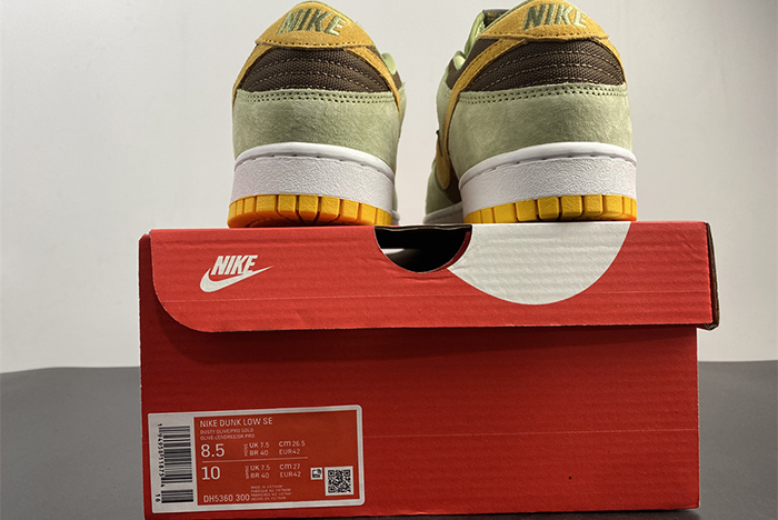 NIKE DUNK SB DH5360-300