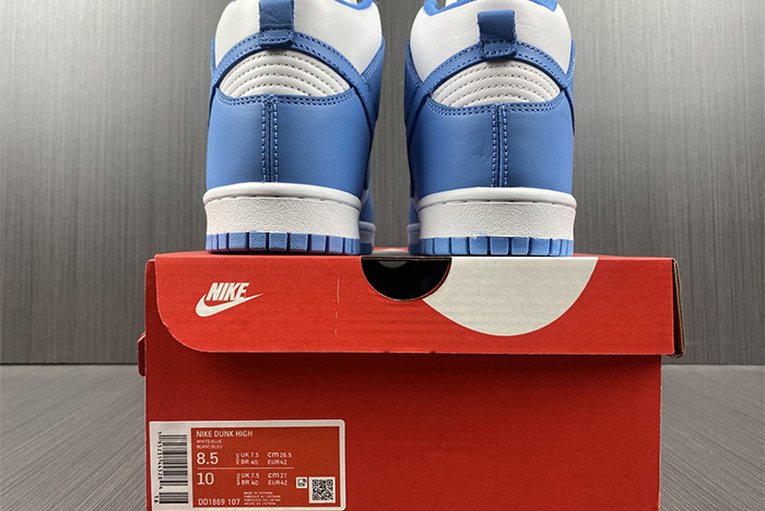NIKE DUNK HIGH DD1869-107