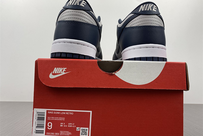 Nike Dunk Low DD1391-003