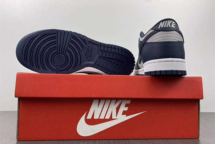 Nike Dunk Low DD1391-003