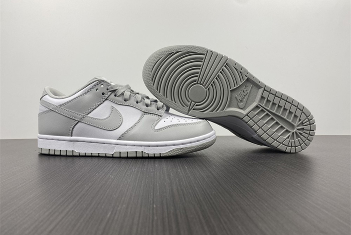 NIKE DUNK LOW RETRO  DD1391-103