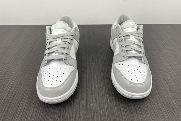 NIKE DUNK LOW RETRO  DD1391-103