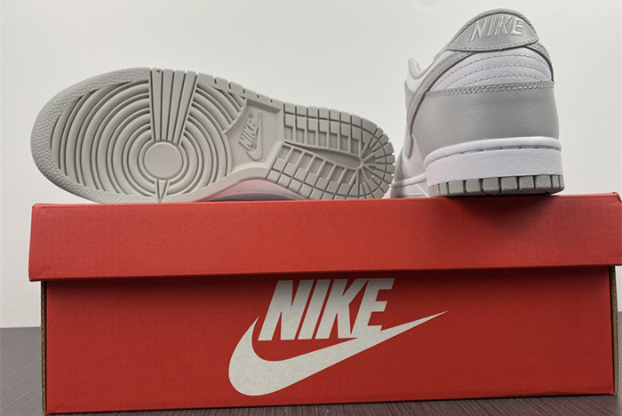 NIKE DUNK LOW RETRO  DD1391-103