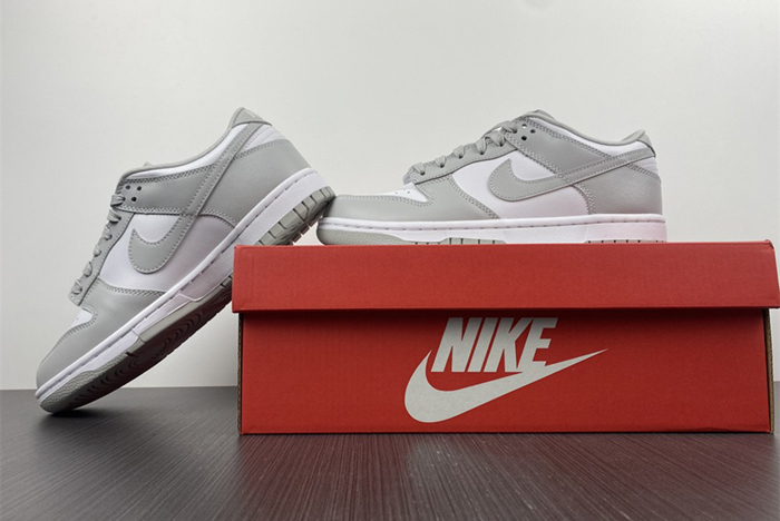 NIKE DUNK LOW RETRO  DD1391-103