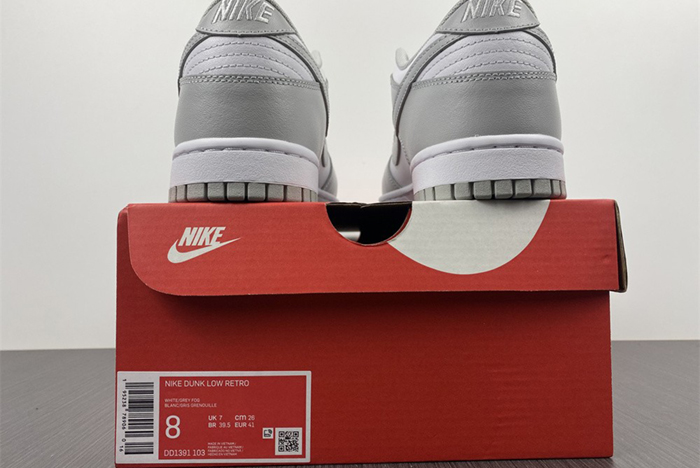 NIKE DUNK LOW RETRO  DD1391-103