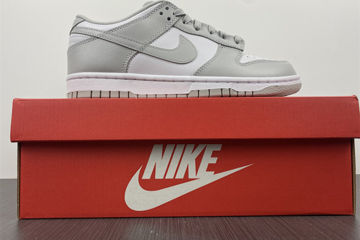 NIKE DUNK LOW RETRO  DD1391-103