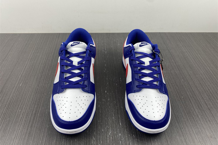 Nike Dunk Low DD1503-119