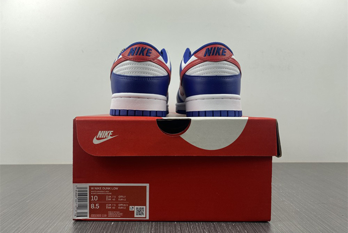 Nike Dunk Low DD1503-119