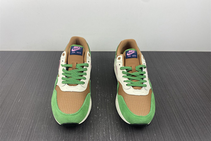 Nike Air Max 1 NH “Treeline
