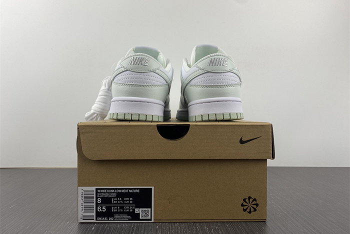 NIKE DUNK  DN1431-102