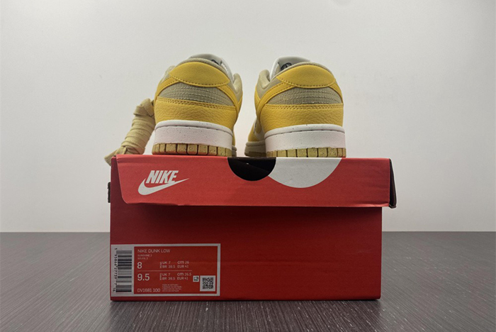 NIKE DUNK DV1681-100