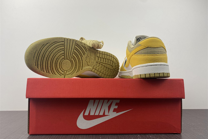 NIKE DUNK DV1681-100