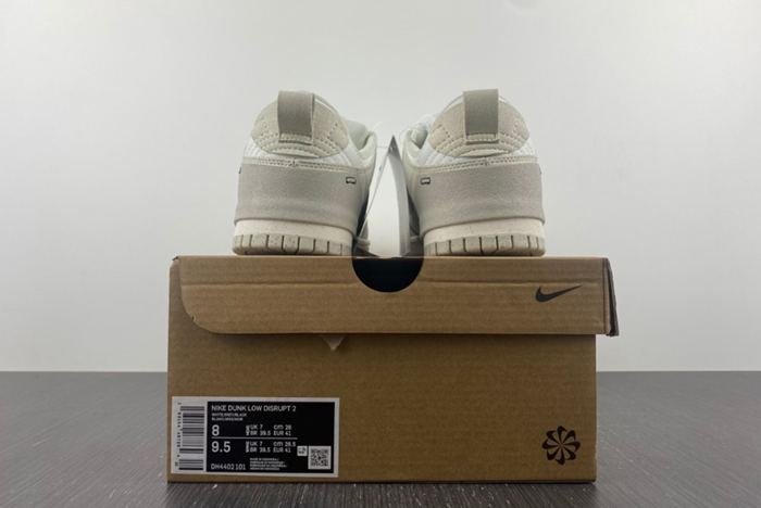Nike Dunk Low Disrupt2 DH4402-101