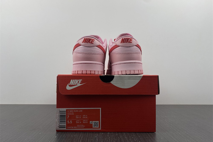 Nike Dunk DH9756-600