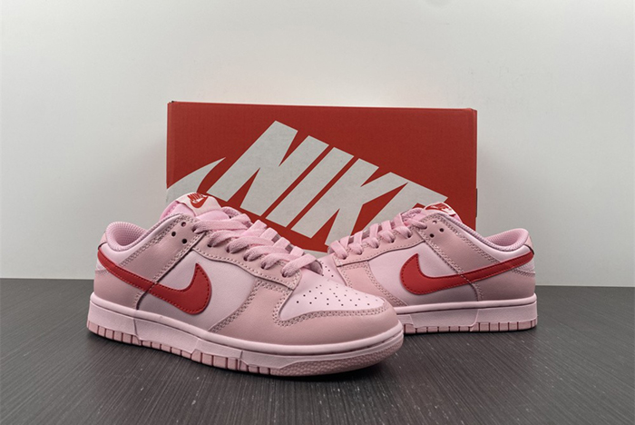 Nike Dunk DH9756-600