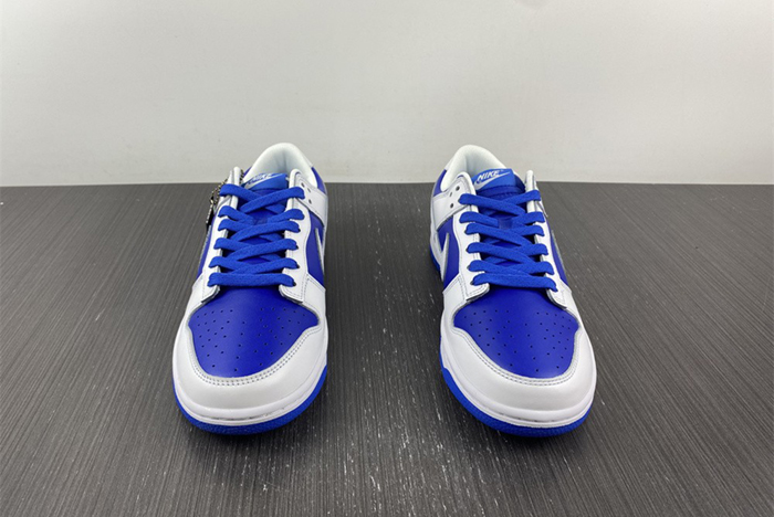 Nike Dunk Low Retro 