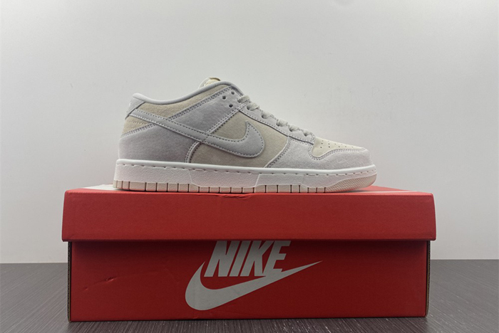 Dunk Low Retro DD8338-001
