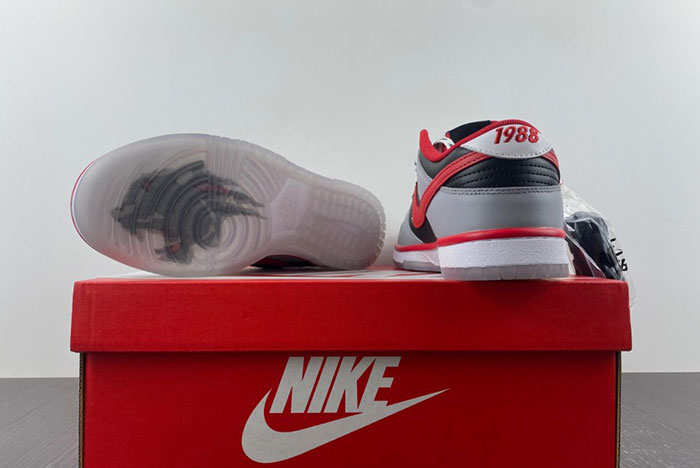 Nike Dunk Low “CAU” DR6189-001