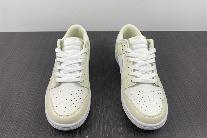 NIKE DUNK LOW DJ6188-100