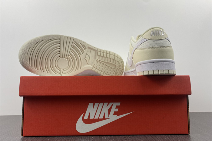 NIKE DUNK LOW DJ6188-100