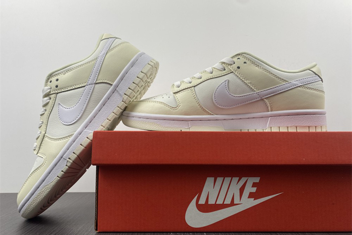 NIKE DUNK LOW DJ6188-100