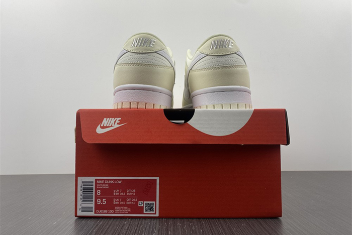 NIKE DUNK LOW DJ6188-100