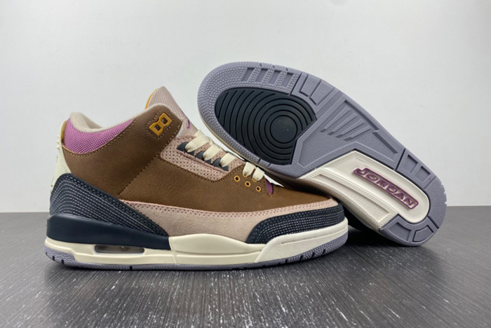 Air Jordan 3 Retro SE AJ3  DR8869-200