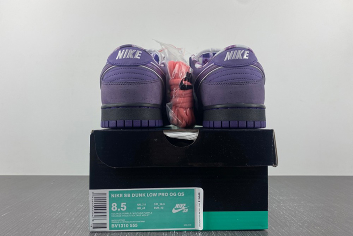 Nike SB Dunk Low x Concepts BV1310-555