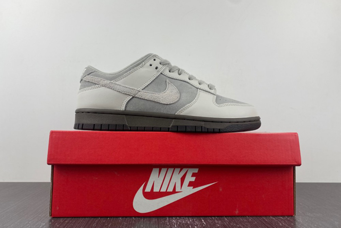 Dunk Low Ironstone FD9746-001