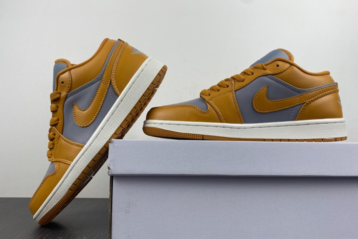 Air Jordan 1 Low AJ1 DC0774-020