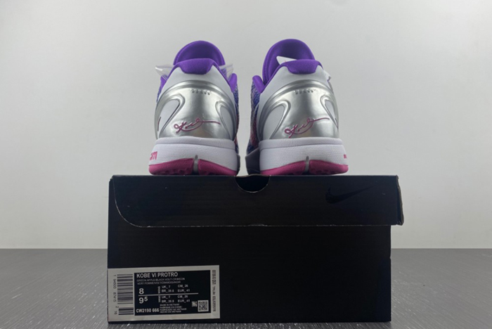 Kobe 6 Protro  CW2190-666
