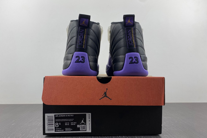 Nike Air Jordan 12 CT8013-057
