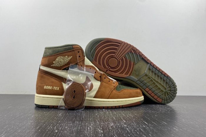 AJ1 Gore-Tex Jordan 1 High DB2889-100