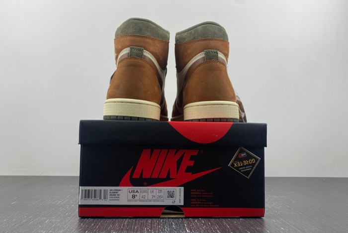 AJ1 Gore-Tex Jordan 1 High DB2889-100